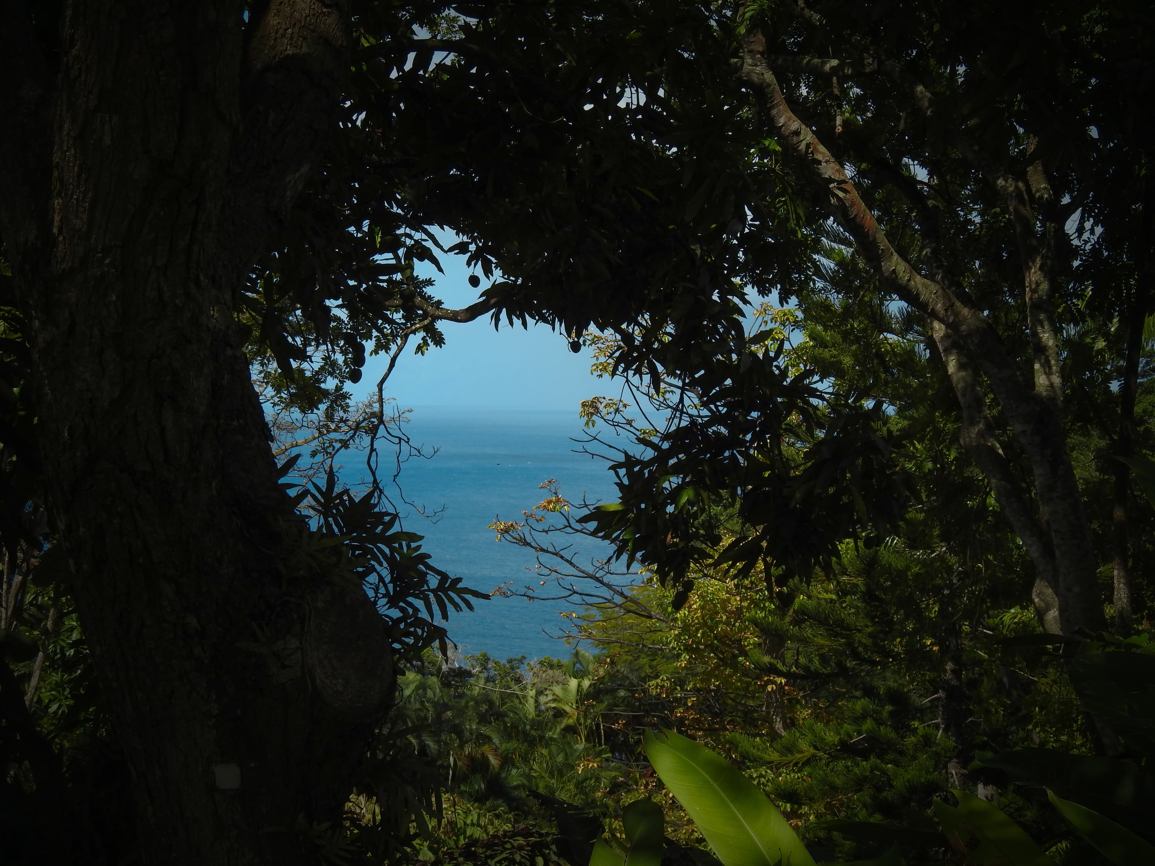 The Sea, Framed - Hero Image